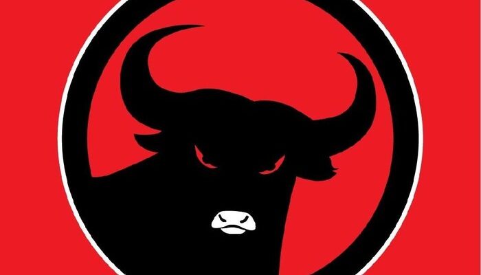 PDIP Sebagai Partai Pemenang Pileg 2024: Berikut Parpol yang Lolos dan Tidak Memenuhi PT