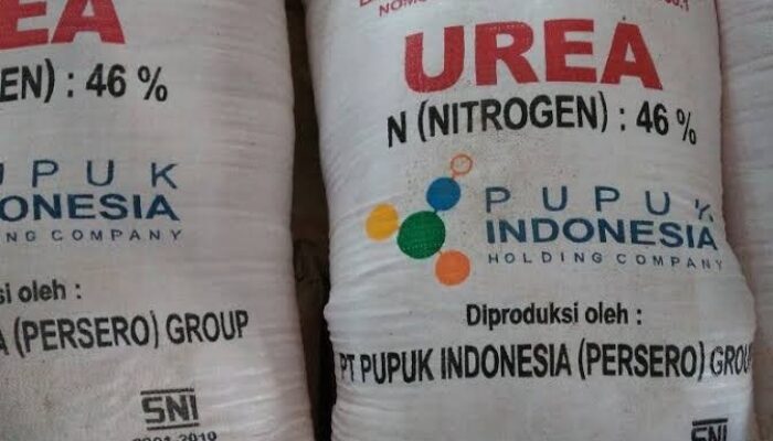 Pemerintah Berutang Rp 1 Triliun untuk Pembayaran Pupuk Subsidi
