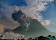 Gunung Merapi Meletus, Muntahkan Guguran Lava Sejauh 1,5 KM