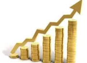 Bank Indonesia Naikkan Suku Bunga Menjadi 6,25 Persen