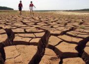 Jawa Timur, NTB, NTT Diprediksi Alami Kekeringan Ekstrim
