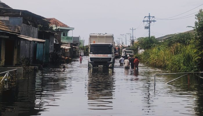 Mendesain Ulang Genuk dengan Nature-Based Solutions (NbS) untuk Mengurangi Risiko Banjir